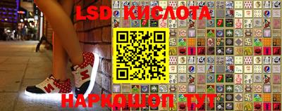 Альфа ПВП Кингисепп