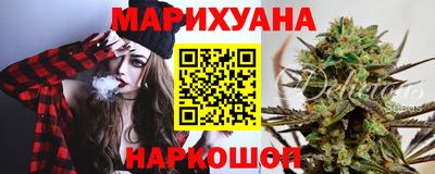 МДПВ Камышлов