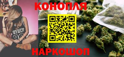 МДПВ Камышлов