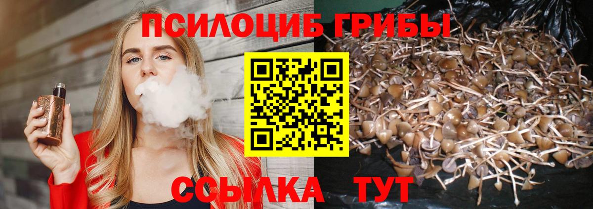 Благовещенск  Галлюциногенные грибы Magic Shrooms  Вход с VPN  Галлюциногенные грибы Cubensis 