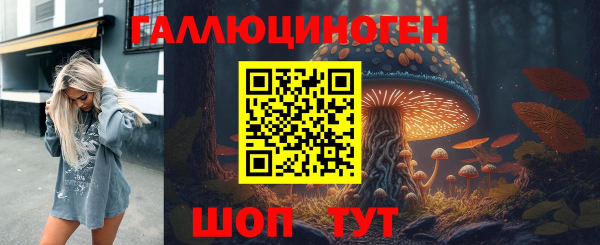 Псилоцибиновые грибы мицелий Благовещенск